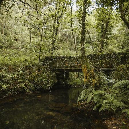 Affittacamere O Curralino Vilacoba Esterno foto