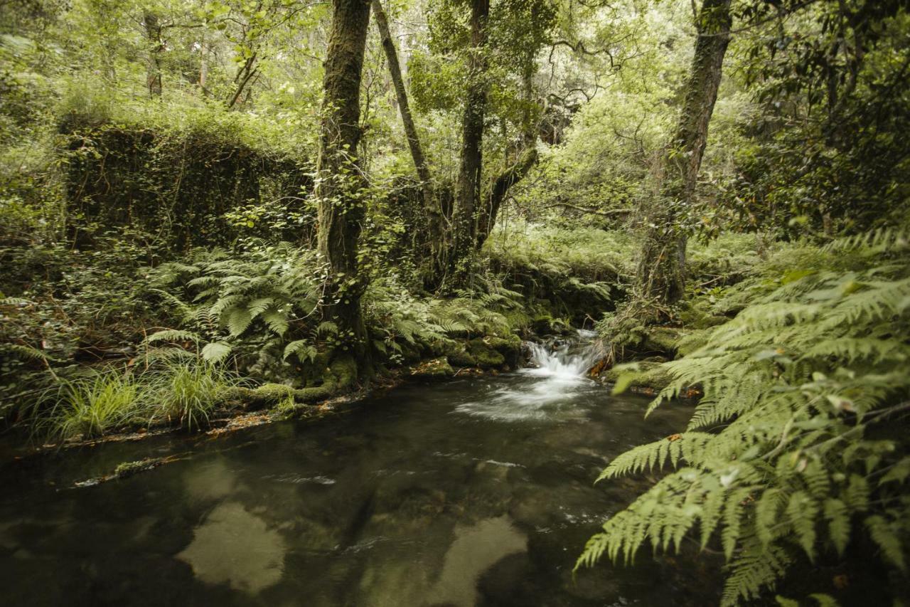 Affittacamere O Curralino Vilacoba Esterno foto